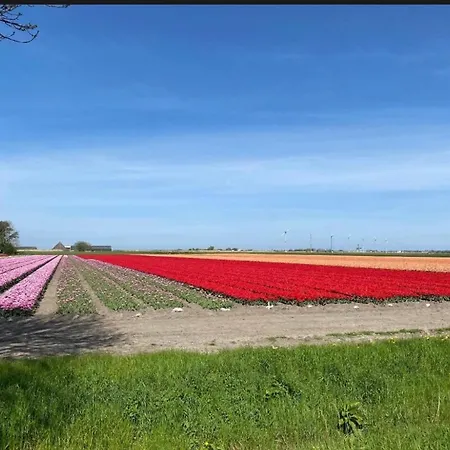 Vredehof * Sint Maartensbrug