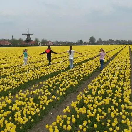 Διαμέρισμα Vredehof Sint Maartensbrug